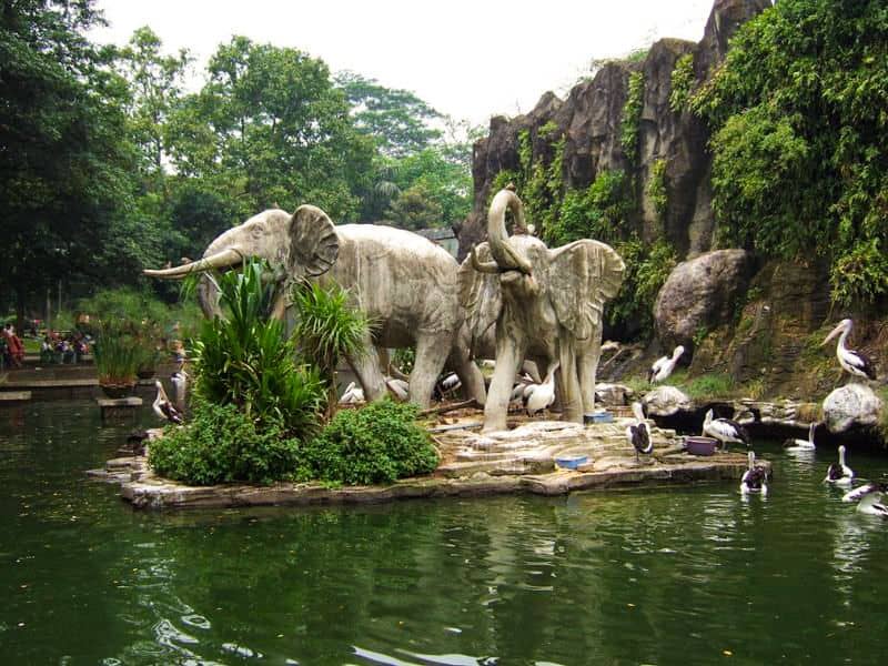 kebun binatang ragunan