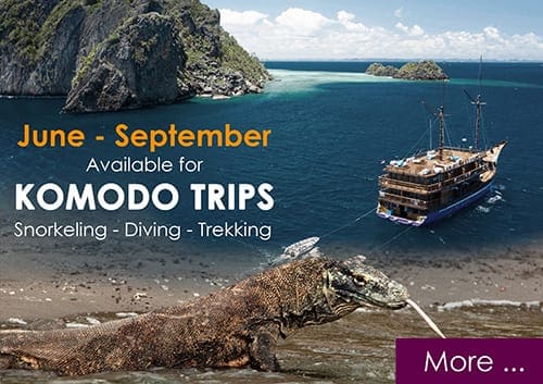 komodo banner