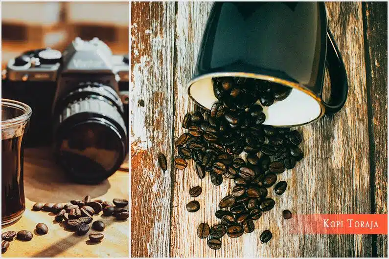 kopi toraja