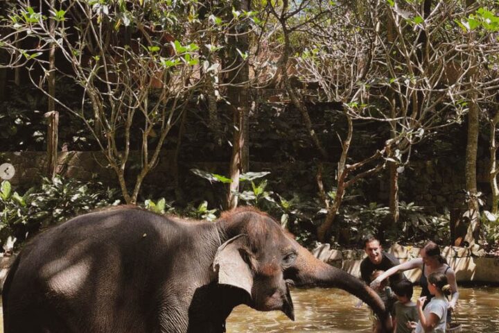lombok wildlife park