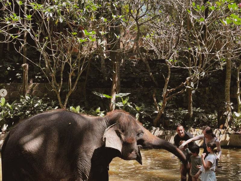 lombok wildlife park