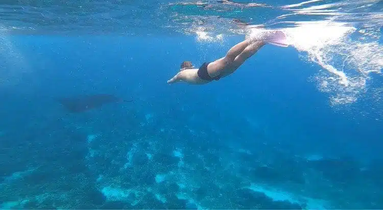 manta point labuan bajo