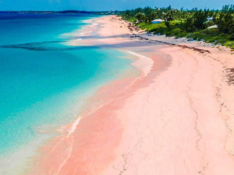 pink beach ntt