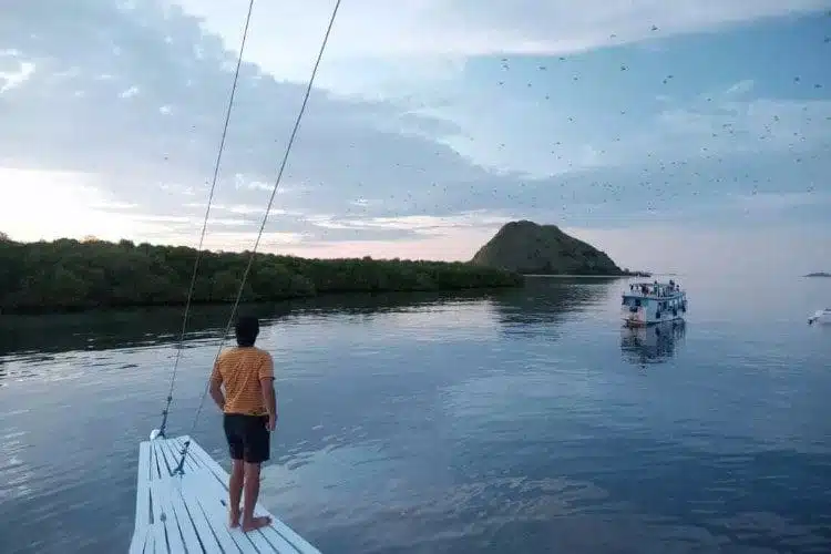 pulau kalong labuan bajo NTT