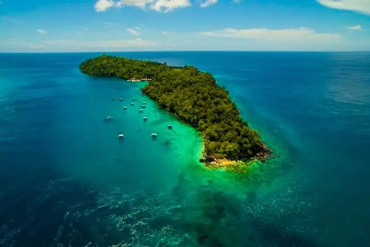 pulau rubah