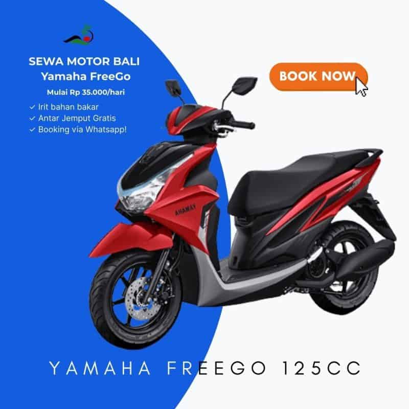 rental motor freego bali , kuta, canggu, legian
