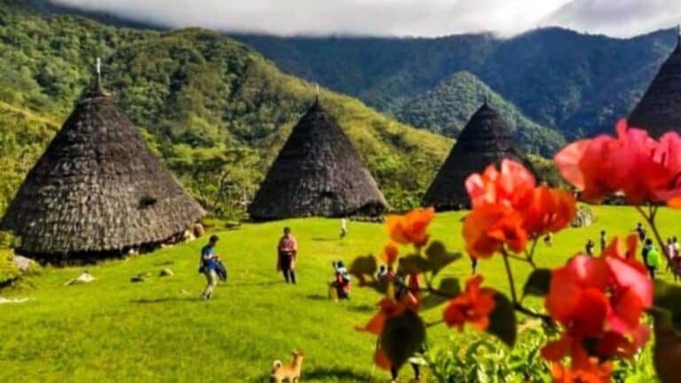 suasana asri di rumah adat tradisional ntt Wae rebo