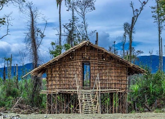rumah adat tradisional papua