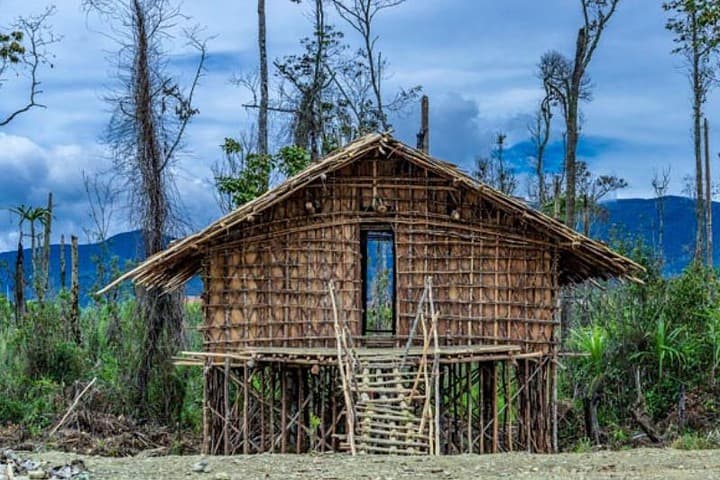 rumah adat tradisional papua