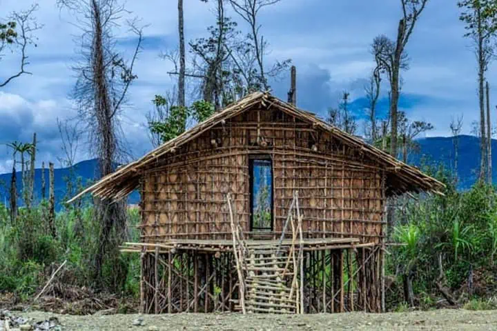 rumah adat tradisional papua