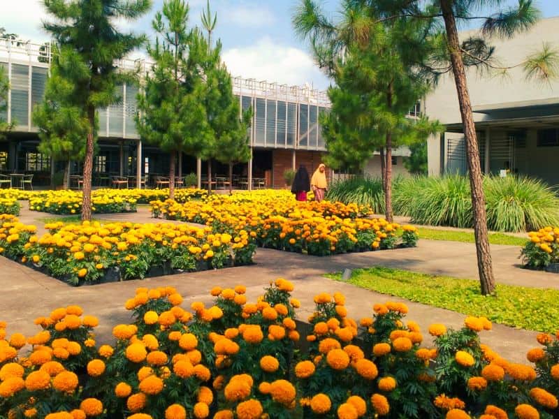 rumah atsiri tawangmangu