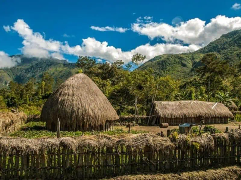 rumah ebei papua