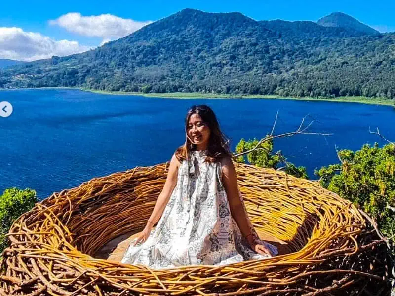 sarang burung wanagiri hidden