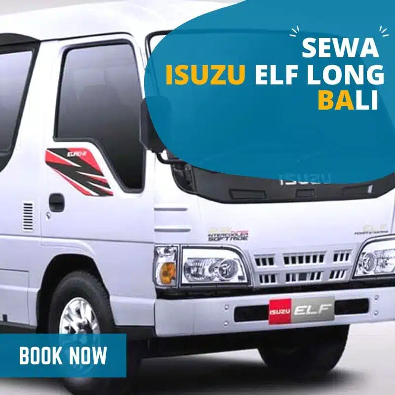 sewa elf bali promo