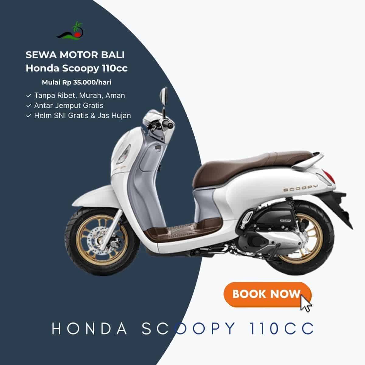 Sewa Honda Scoopy Bali