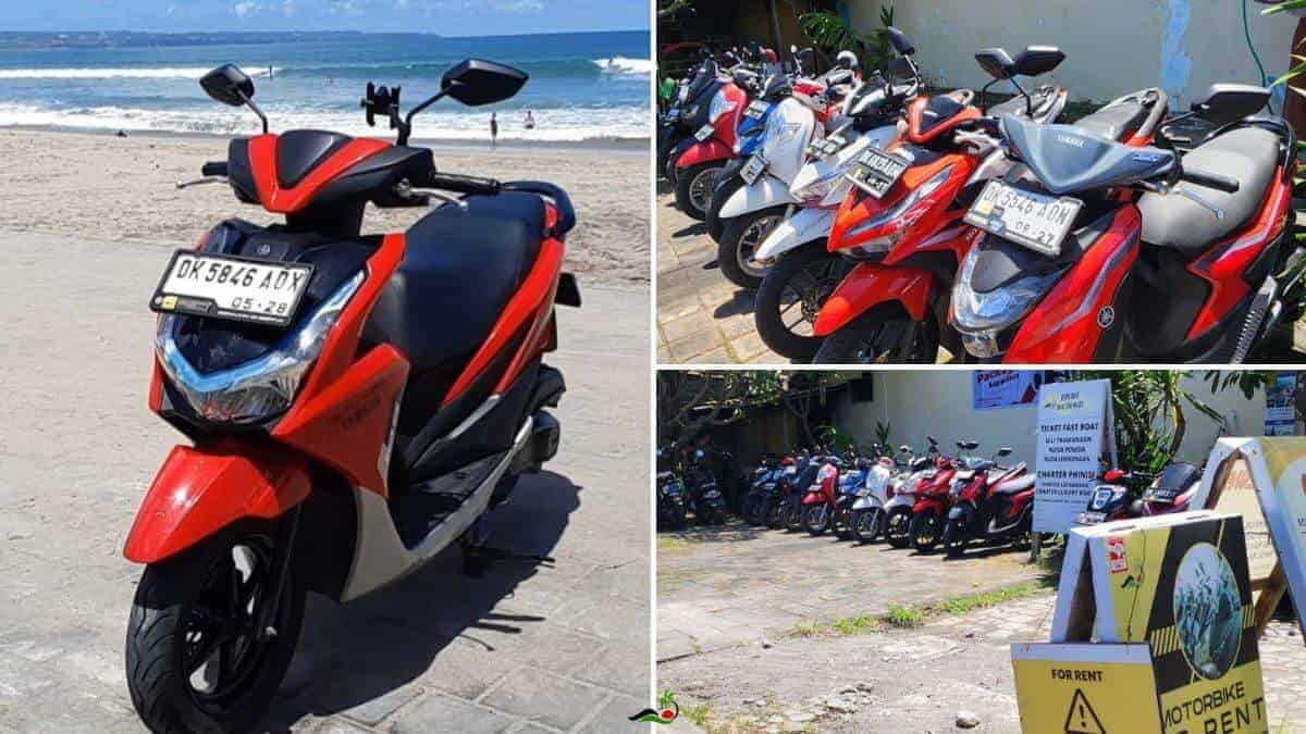 Sewa Yamaha FreeGo Bali - Motor Stylish untuk Rental dan Touring di Bali