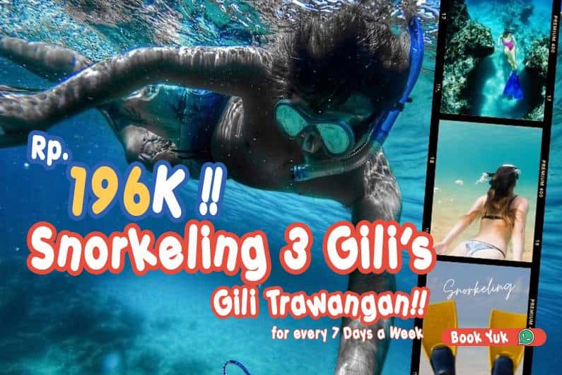 snorkeling-3-gili's