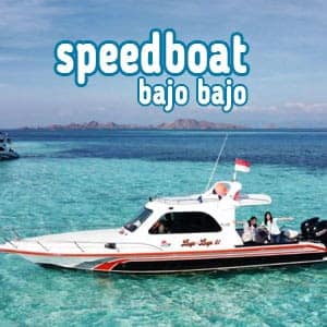 speedboat bajo bajo