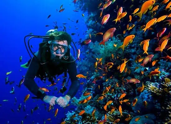 spot snorkeling gunung kidul