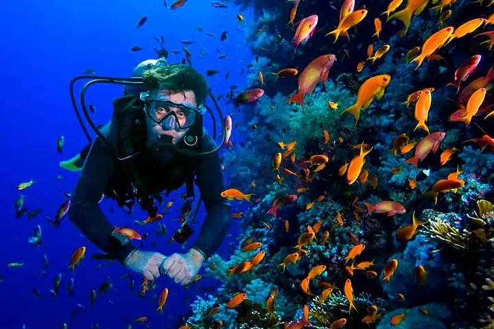 spot snorkeling gunung kidul