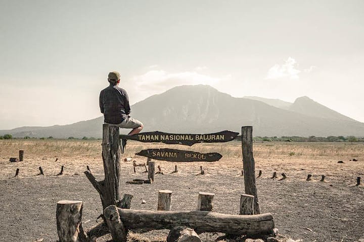 taman nasional baluran