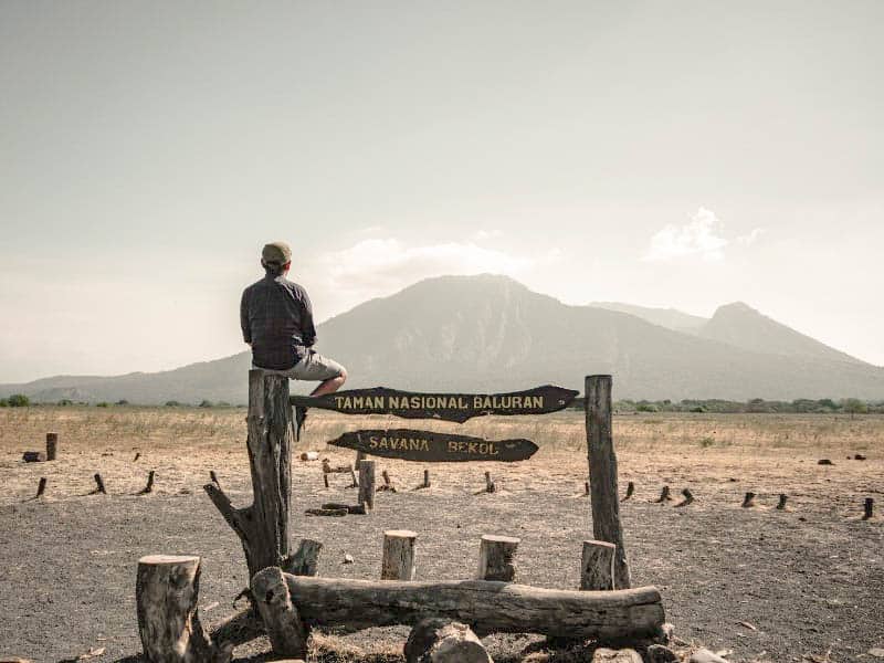 Taman Nasional Baluran Lokasi dan Hewan Yang Dilindungi