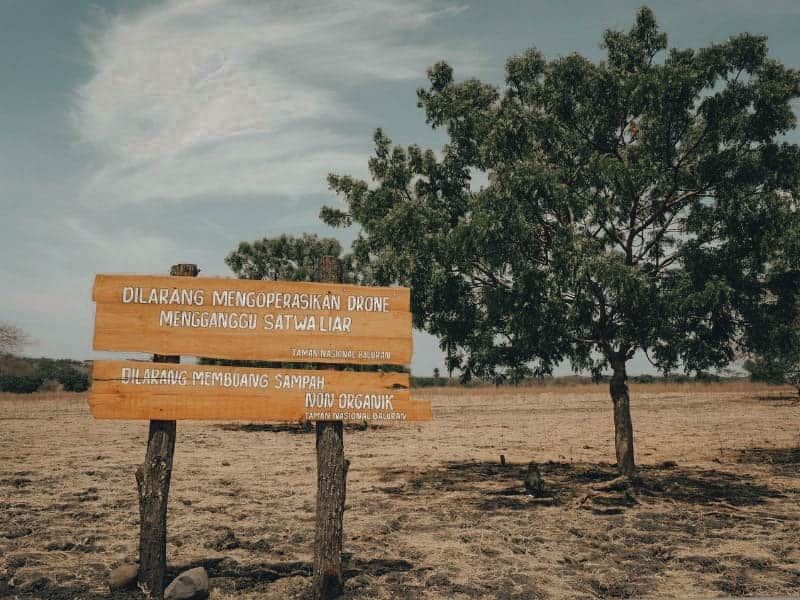 lokasi taman nasional baluran