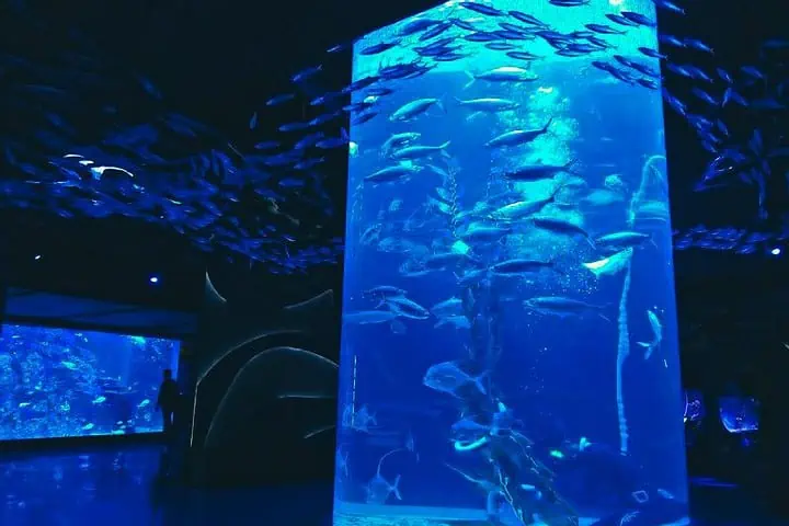 tempat wisata edukasi jakarta