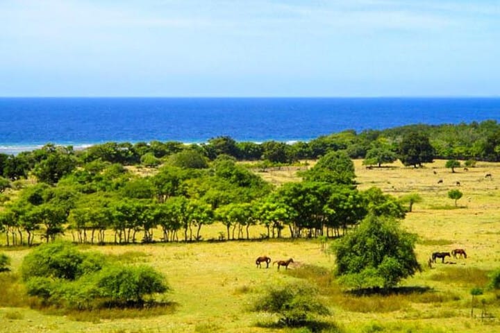 tempat wisata healing sumba