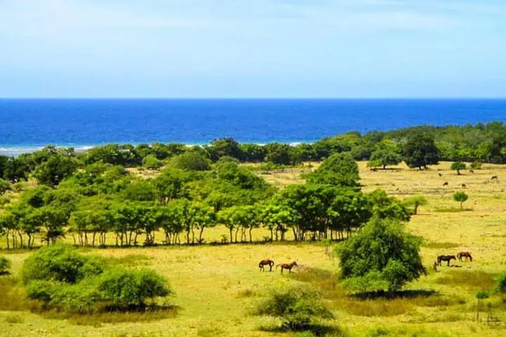 tempat wisata healing sumba